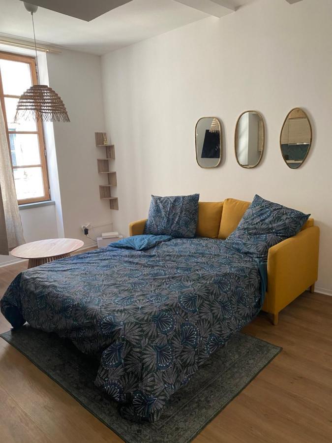Le Bout Du Monde Appartement Hyper-Centre Carcassonne Dış mekan fotoğraf
